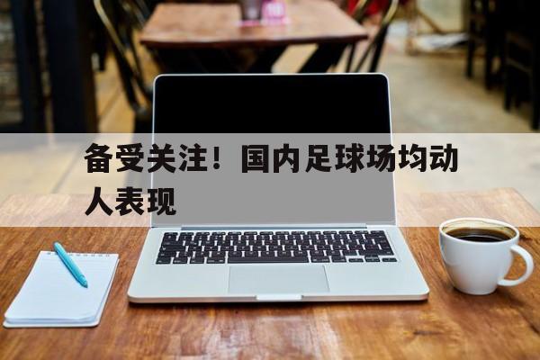 备受关注！国内足球场均动人表现的简单介绍