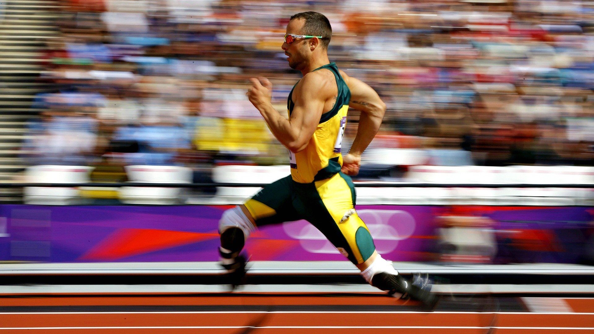 莎拉波娃重要时刻锐不可当,老鹰带队取胜!赛场气氛高涨